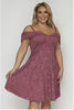 Mauve Pink Lace Overlay Plus Size Cocktail Dress