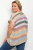 Multi Colored Stripe Plus Size Sweater