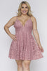 Blush Pink Lace Overlay Plus Size Dress